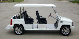 affordable golf cart rental, golf cart rent lauderdale by the sea, cart rental lauderdale by the sea