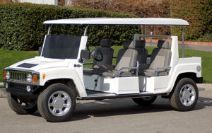 affordable golf cart rental, golf cart rent lauderdale by the sea, cart rental lauderdale by the sea